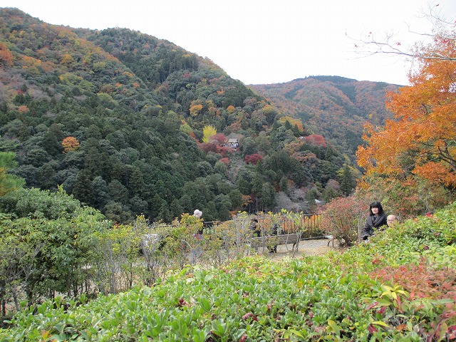大河内山荘庭園