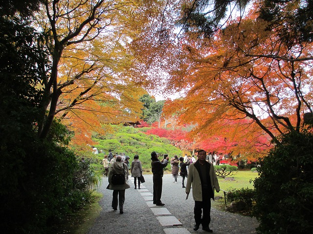大河内山荘庭園