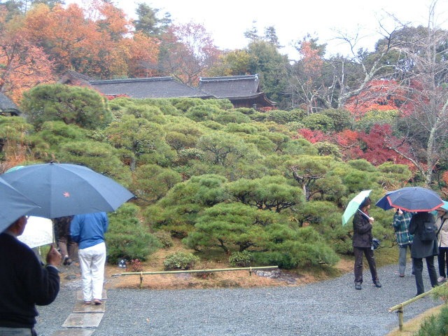 大河内山荘庭園