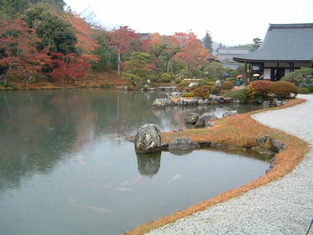 �����r�뉀