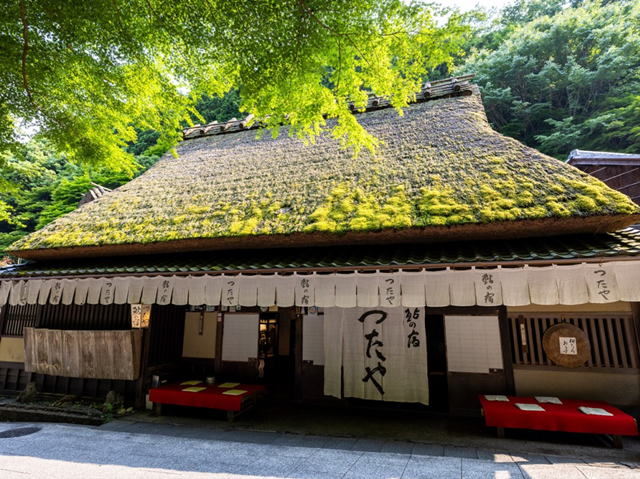 ���̏h����