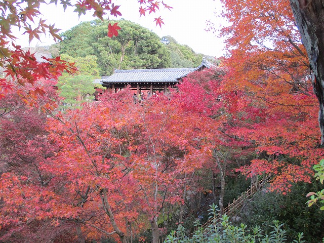 東福寺