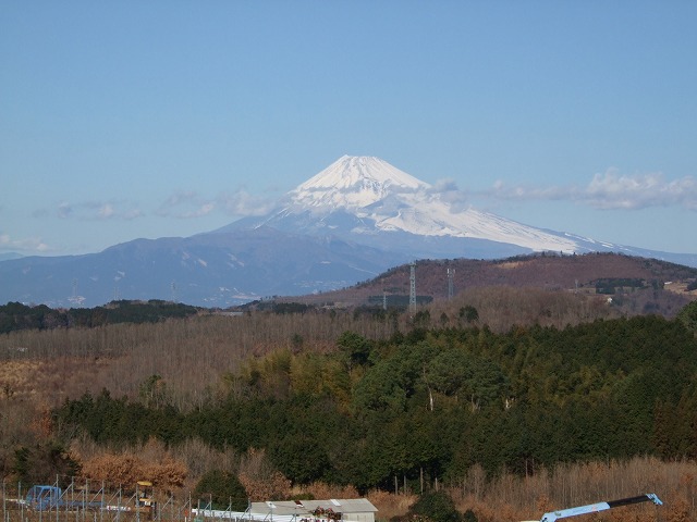 中伊豆ワイナリーシャトーT.S