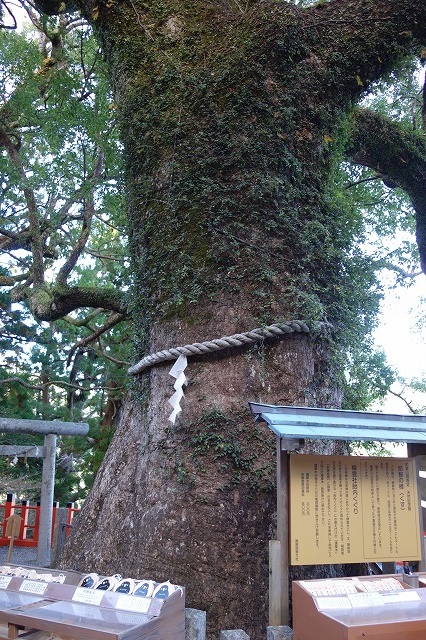 熊野那智大社・青岸渡寺・那智の滝