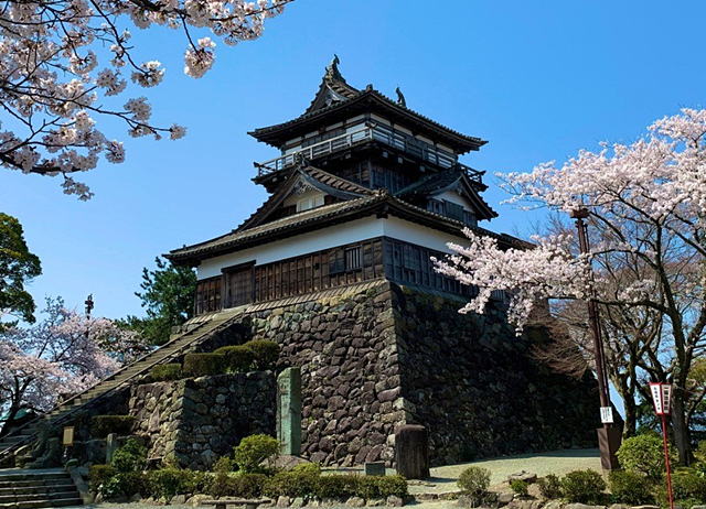 �ۉ���@����12�V��