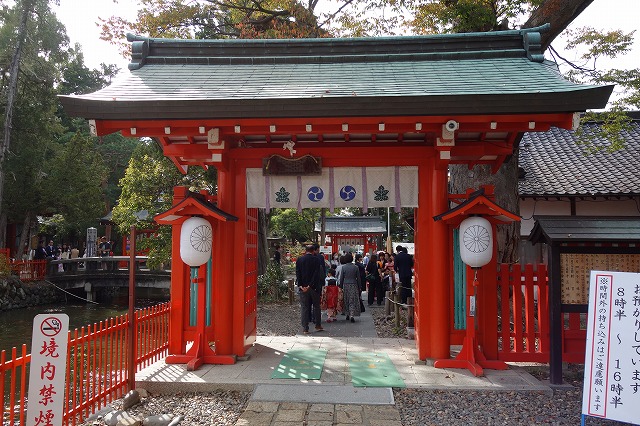 ���������_��