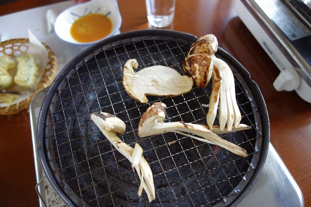 ��q�R�� �����R�{�X