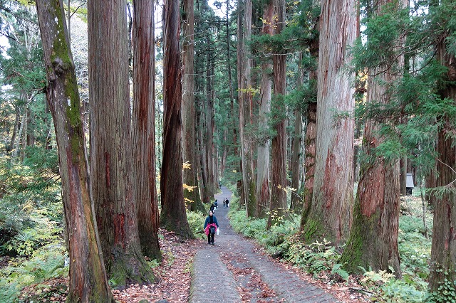 戸隠神社　奥社