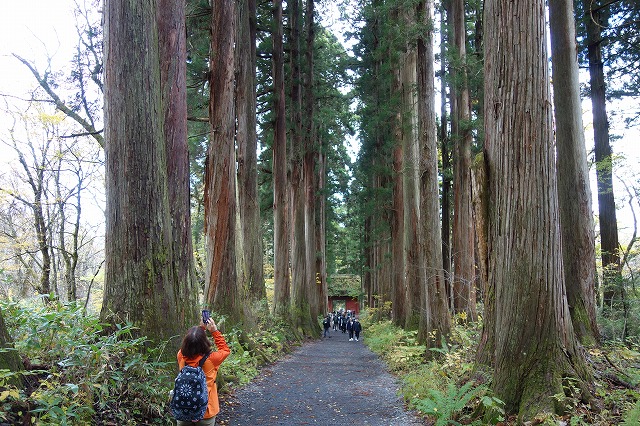 戸隠神社　奥社