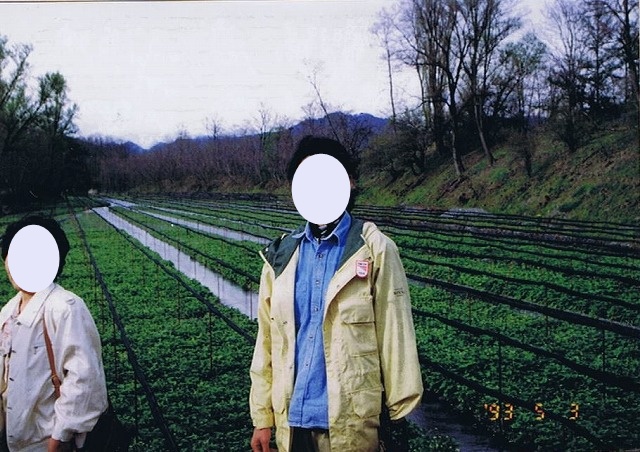 大王わさび農場