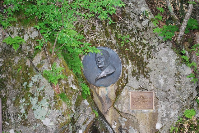 �E�G�X�g����