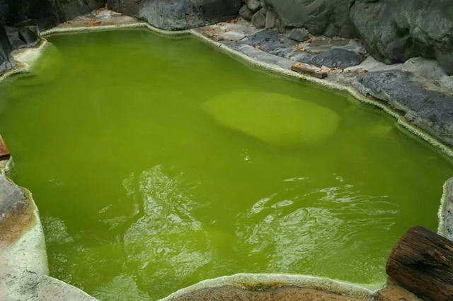 �F�̓��z�e��