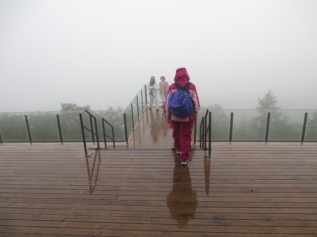 �̒r���R��