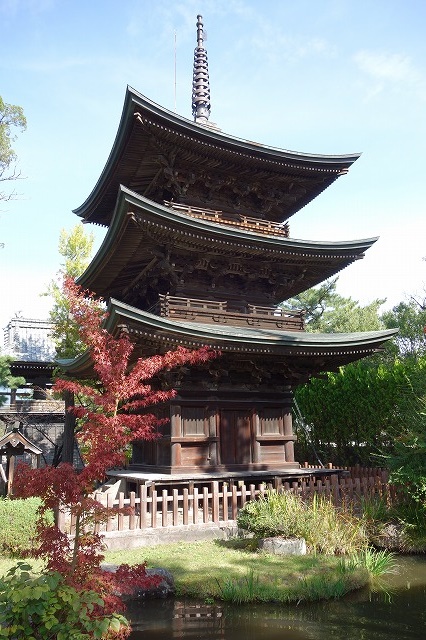 �M�Z������