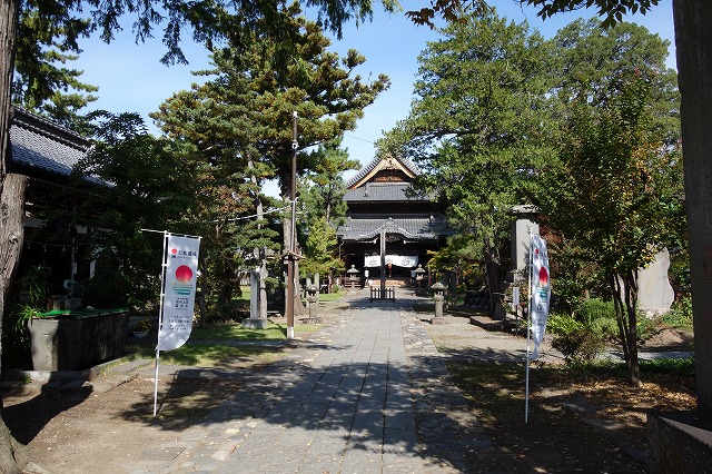 �M�Z������