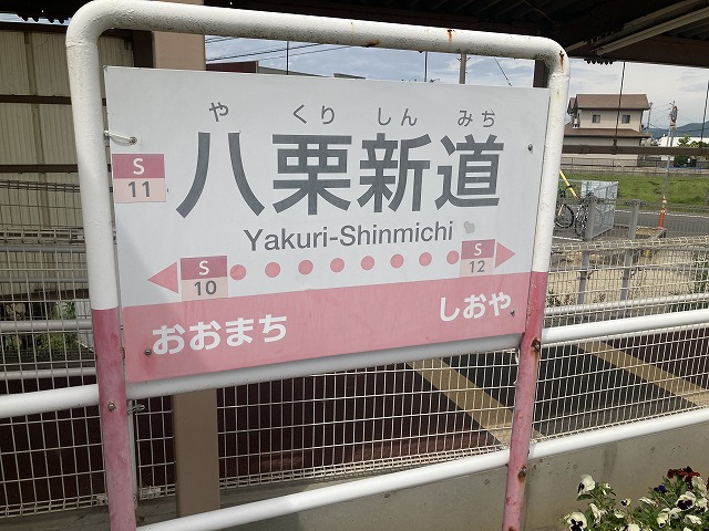 ���I�V���w