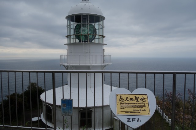 室戸岬の宿 うまめの木