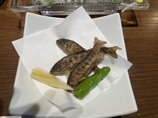 土佐龍温泉 三陽荘