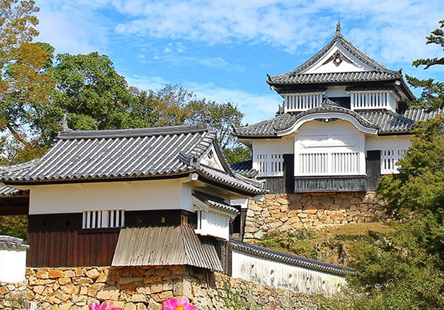 �������R��