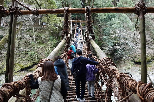 大歩危・祖谷のかずら橋