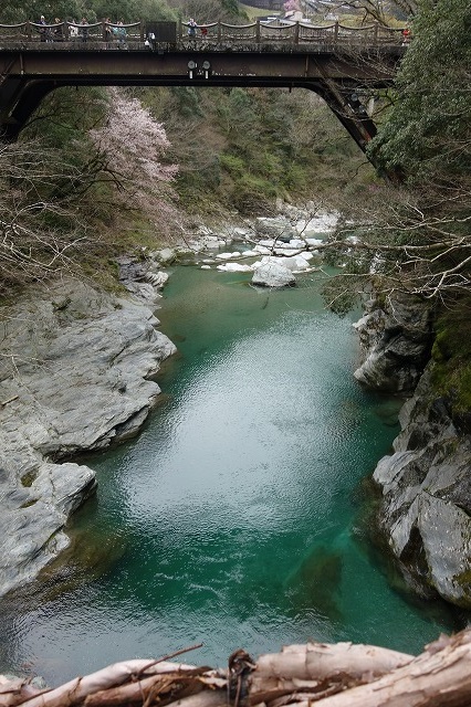 大歩危・祖谷のかずら橋