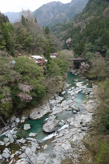 大歩危・祖谷のかずら橋